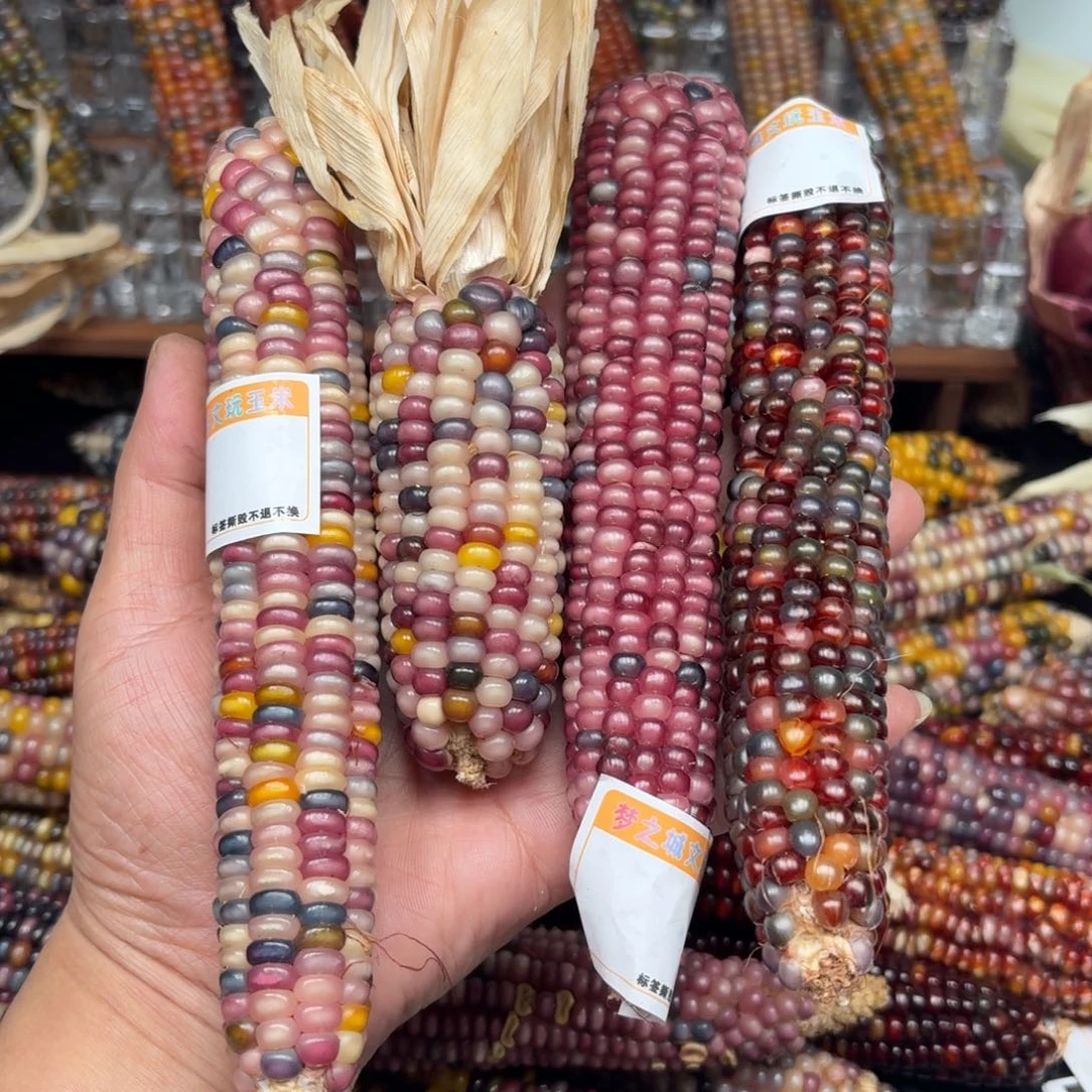 柏香籽/百香籽吊坠静****然