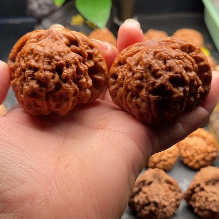 刘***集文玩核桃把件全品龙鼎边56