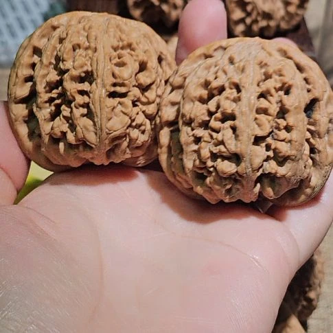 有***海吊坠文玩核桃48粗筋