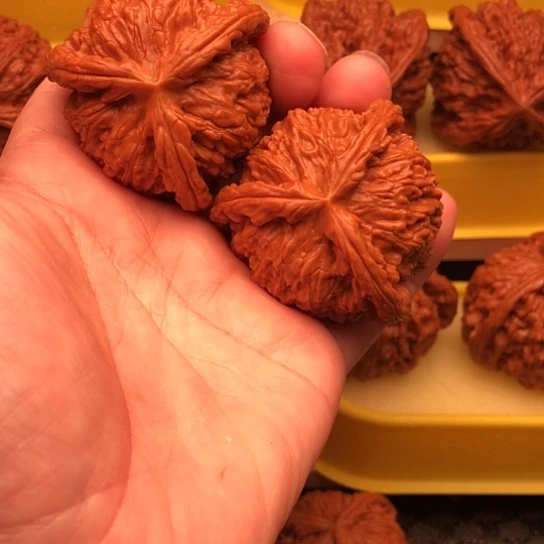 本***置核桃核桃核桃核桃吗核桃核桃