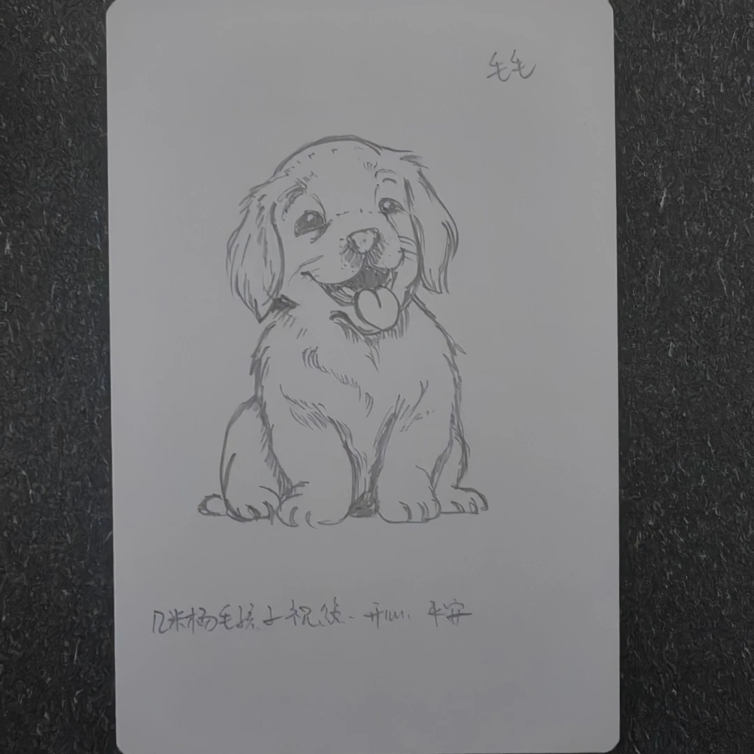 来图绘画狗狗明信片