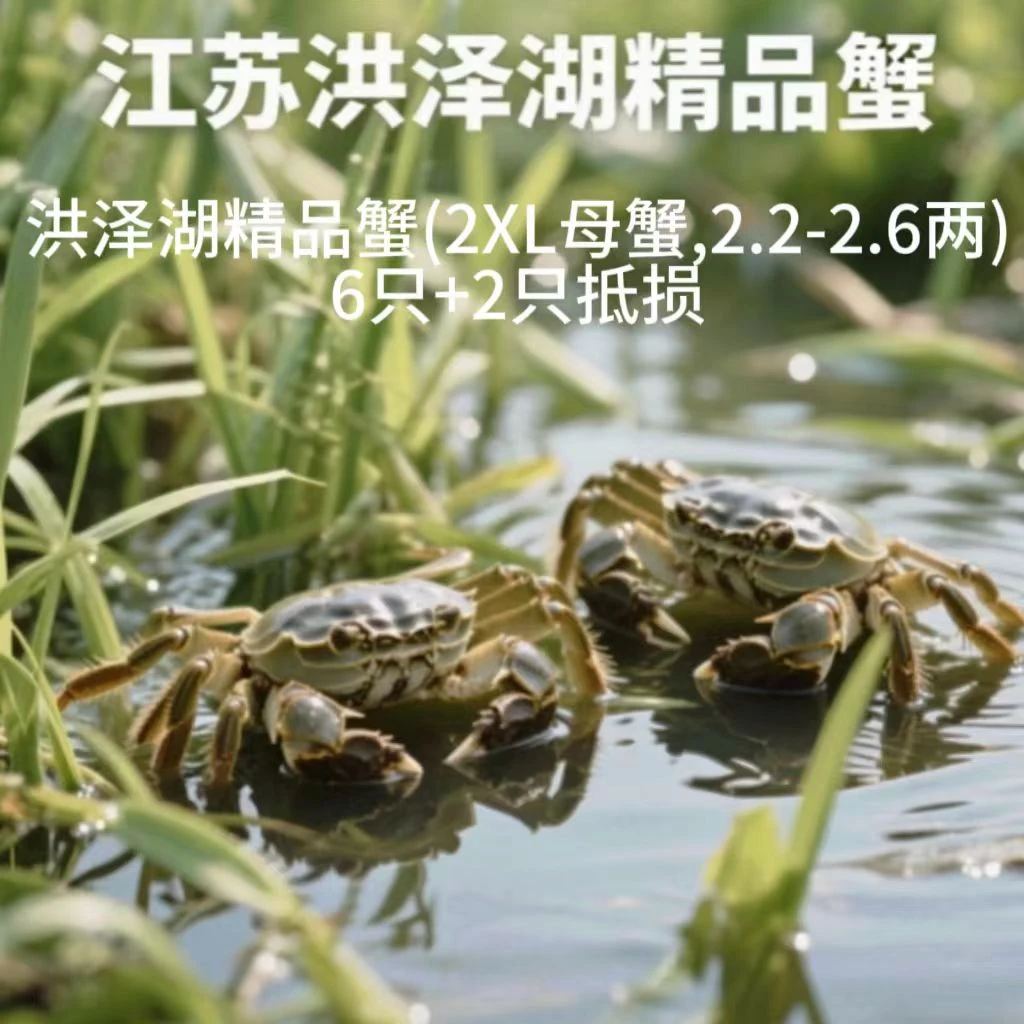 洪泽湖精品蟹(2XL母蟹,2.2-2.6两)6只+2只抵损
