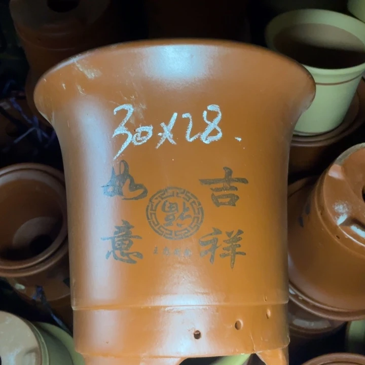 这是真实在是现实真是
