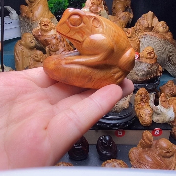柏木888888888888888888