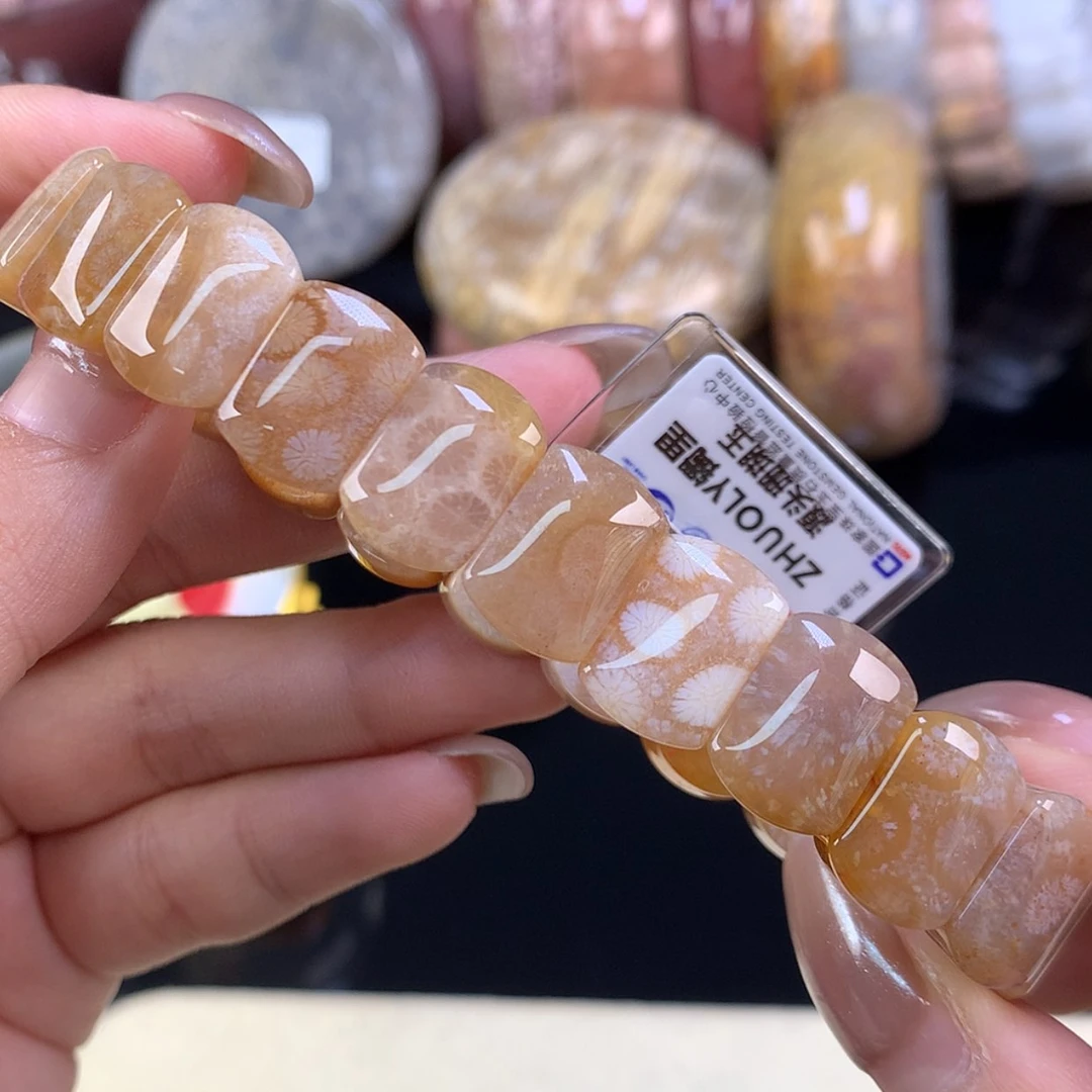 【闪购商品】颈饰未镶嵌硅化珊瑚（珊瑚玉）福利手牌14号
