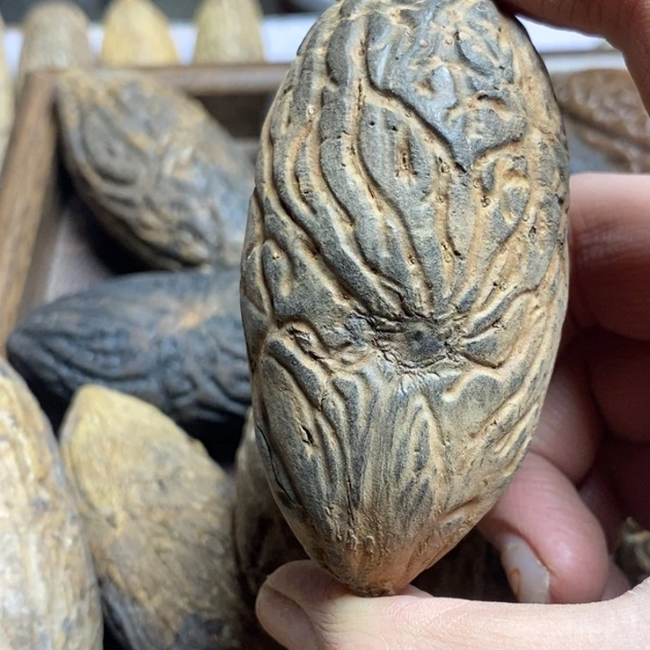 真***头千眼菩提吊坠菩提