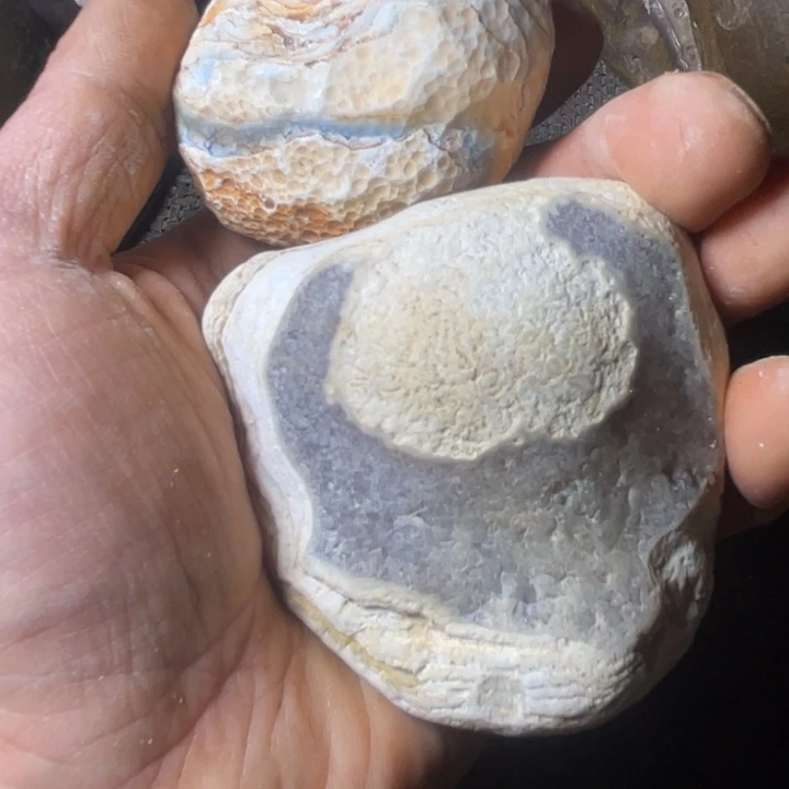 鱼***头石材奇石怪石摆件