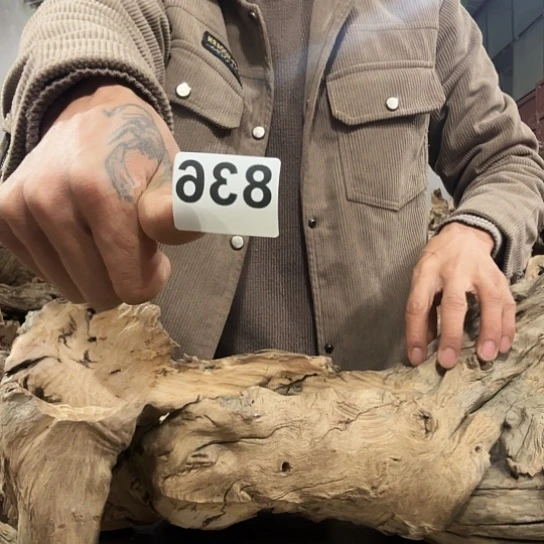 辉*哥紫砂啦啦啦啦啦啦