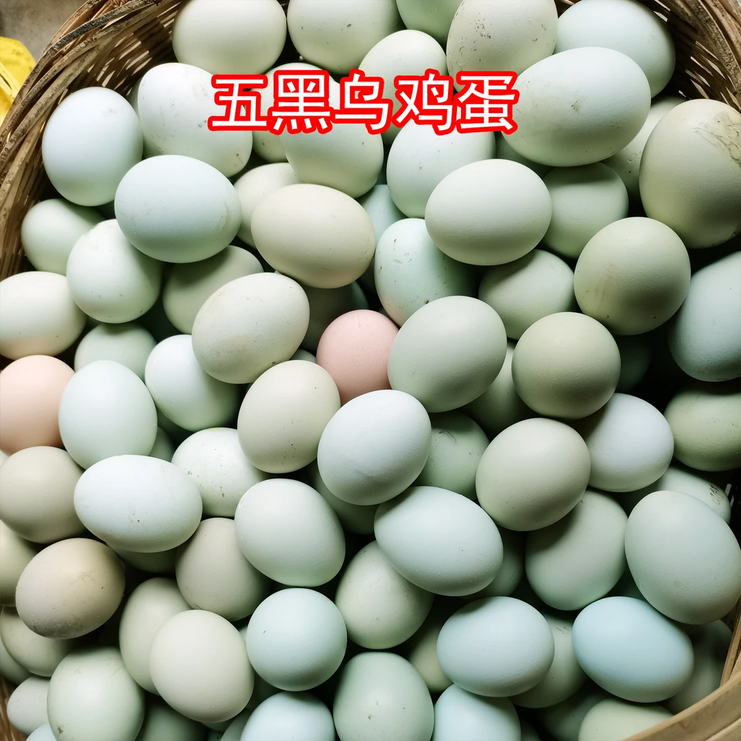 (01)乌鸡蛋30枚/盒(注:收到请取出鸡蛋冷藏保存!)