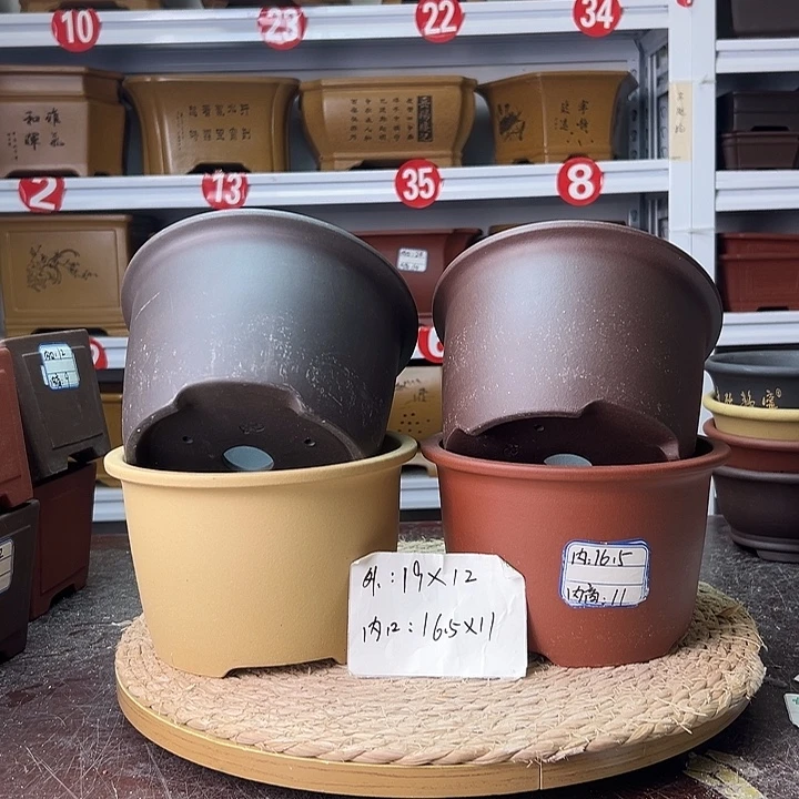 花盆紫砂蛇年大吉