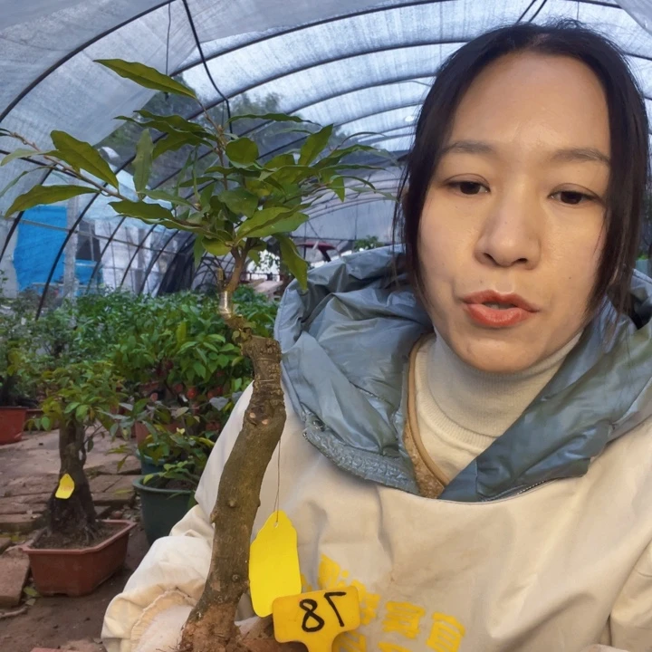 用***5无花朵金8898888999