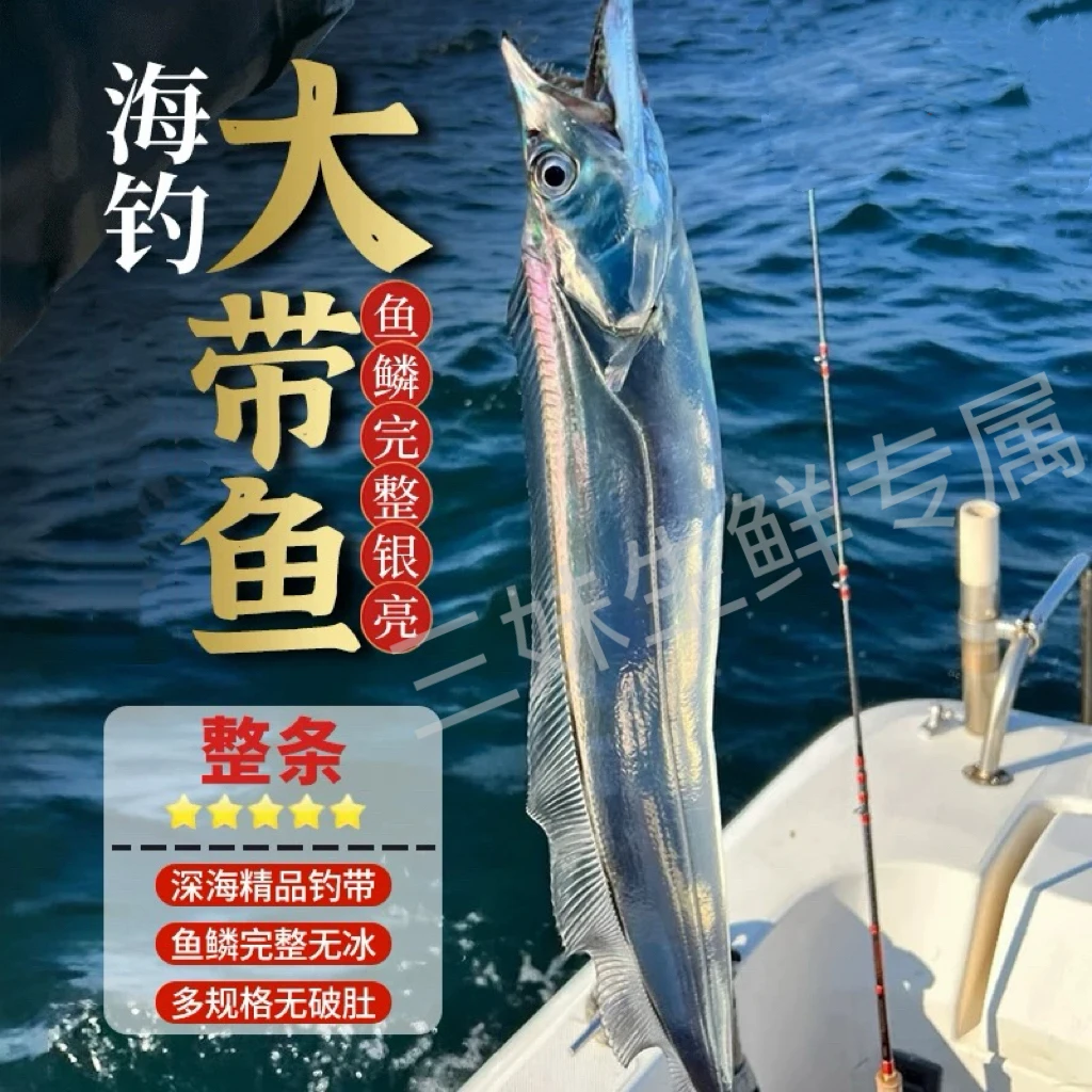 海钓带鱼 5两左右/条 野生 油带鱼 无冰 到手10条