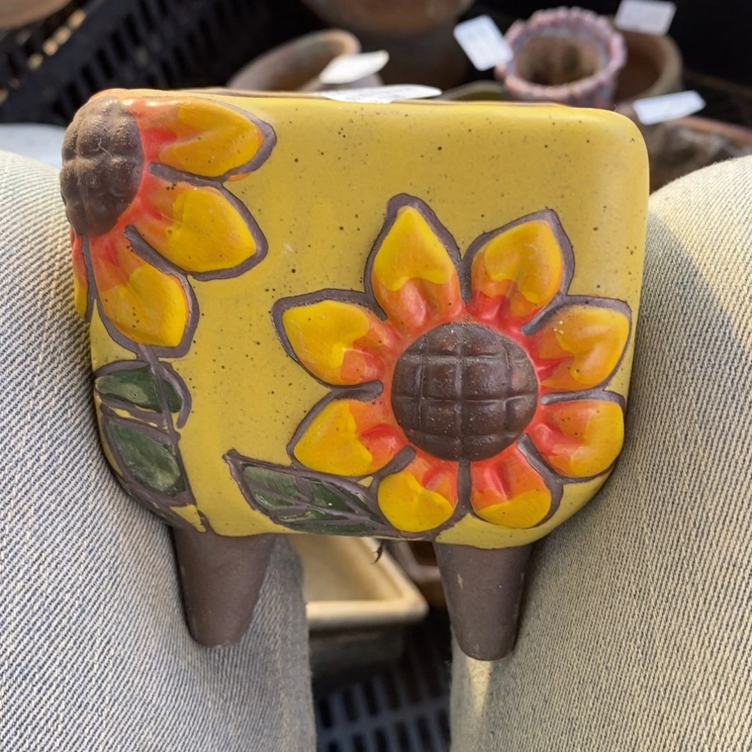 287号多肉盆口径7