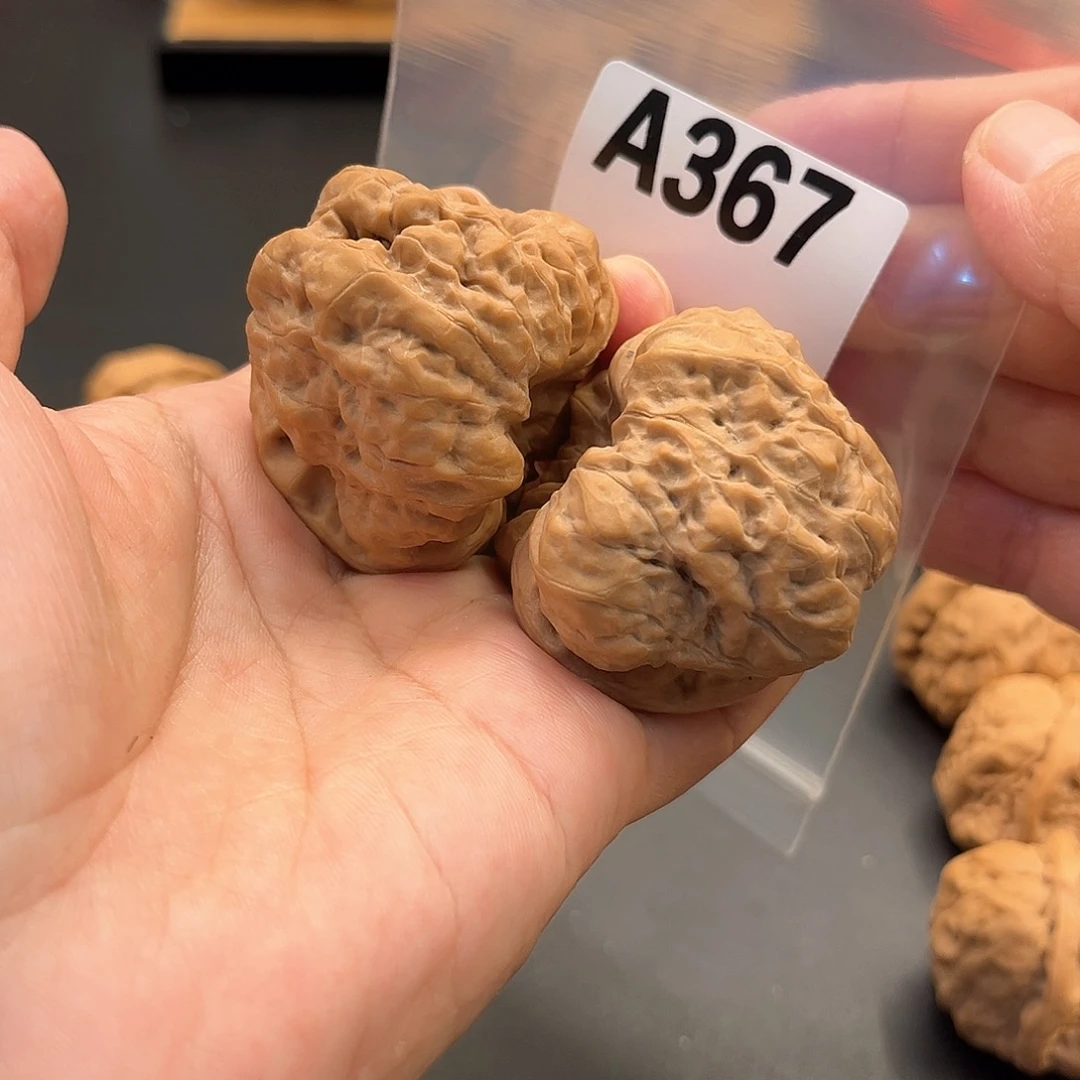 大***承桃核把件蛙蛙福利44