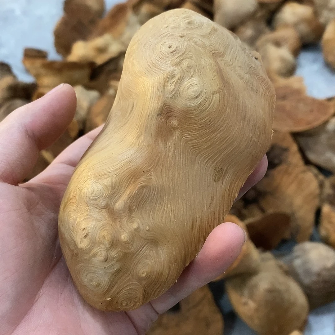 阿***赞荔枝木荔枝木原料