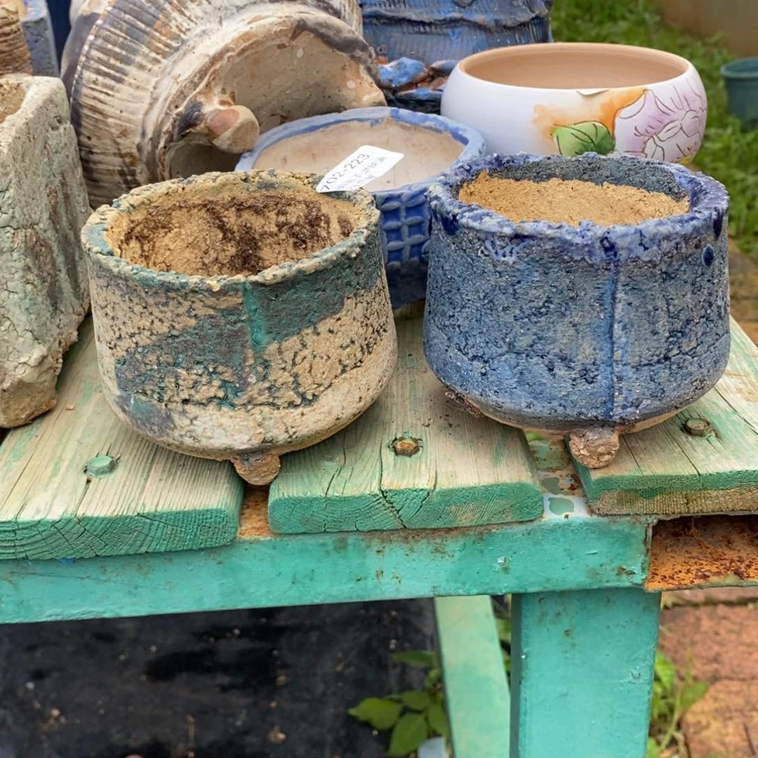 J****223号多肉盆两个组合