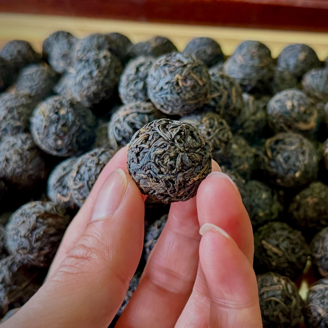 高马龙珠野山一级天尖纯料2020年黑茶