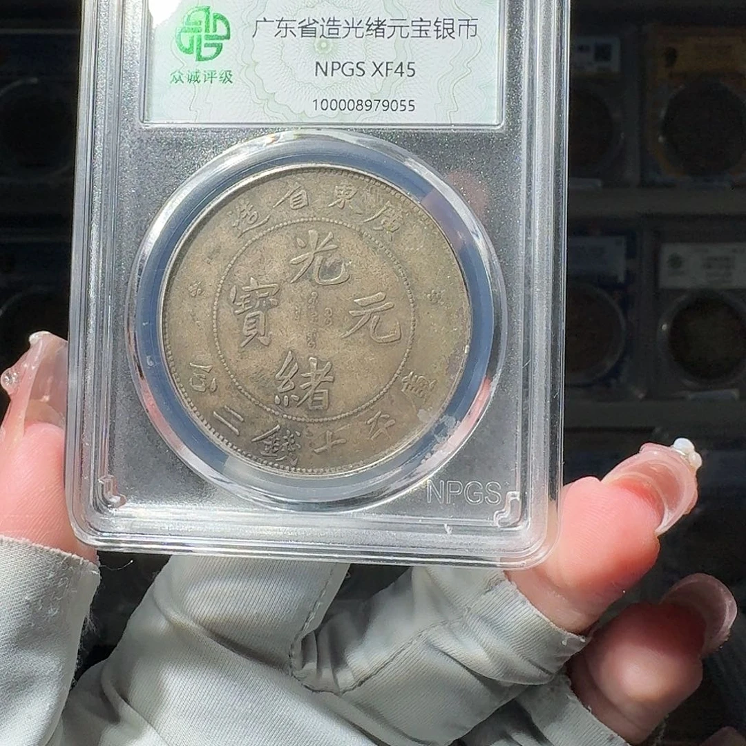 J***u银45 广东龙 小师妹PP587