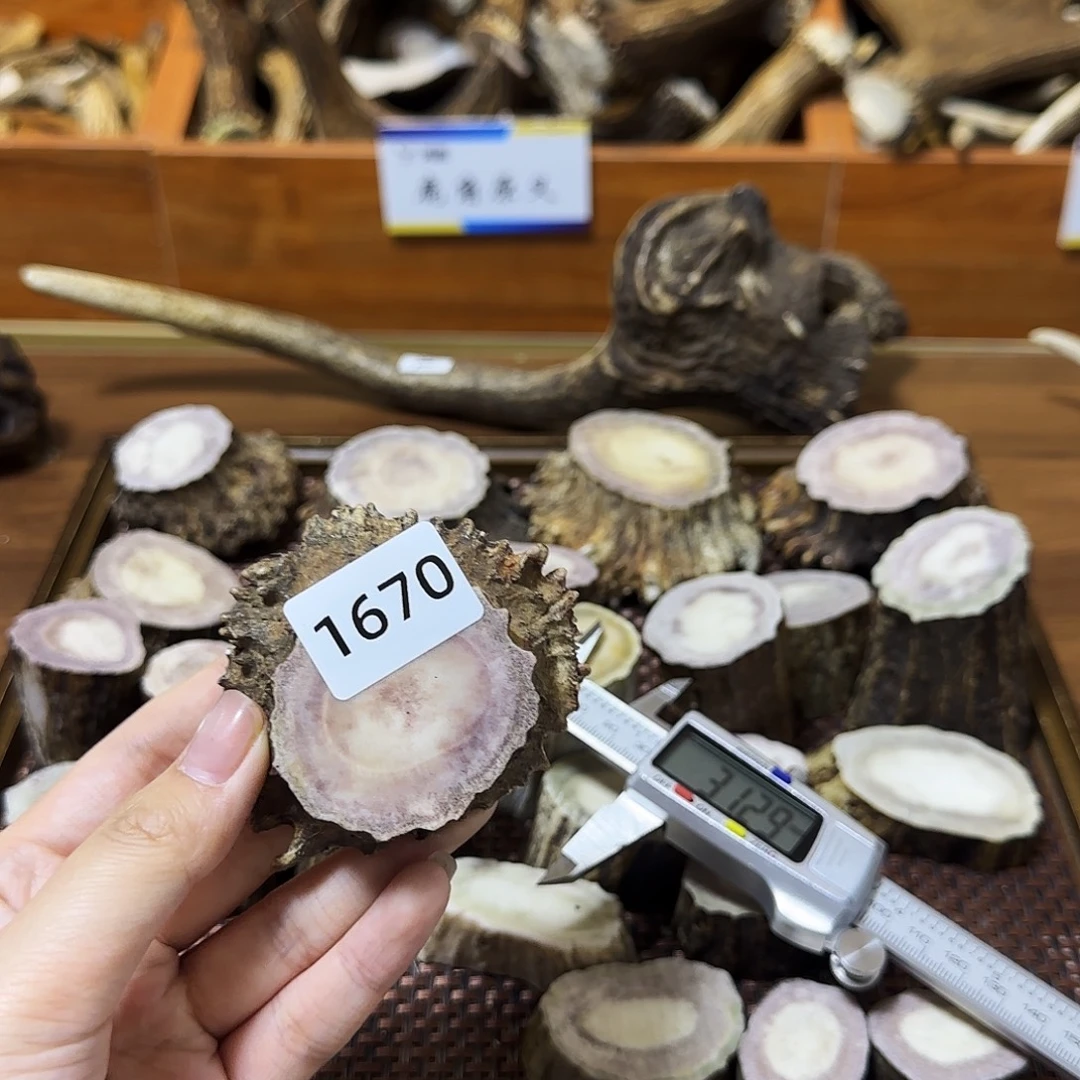 手串/手链鹿骨1670 角帽