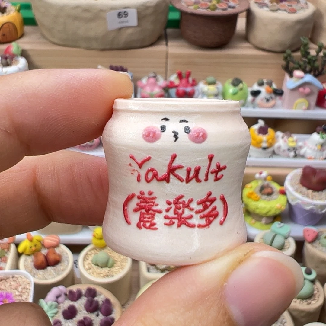 多肉植物102号看着种