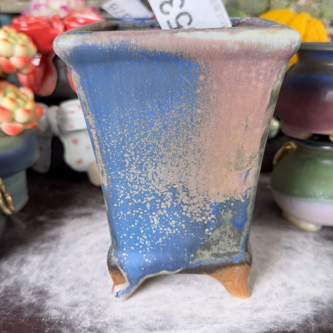 重庆小燕子欢迎大家539