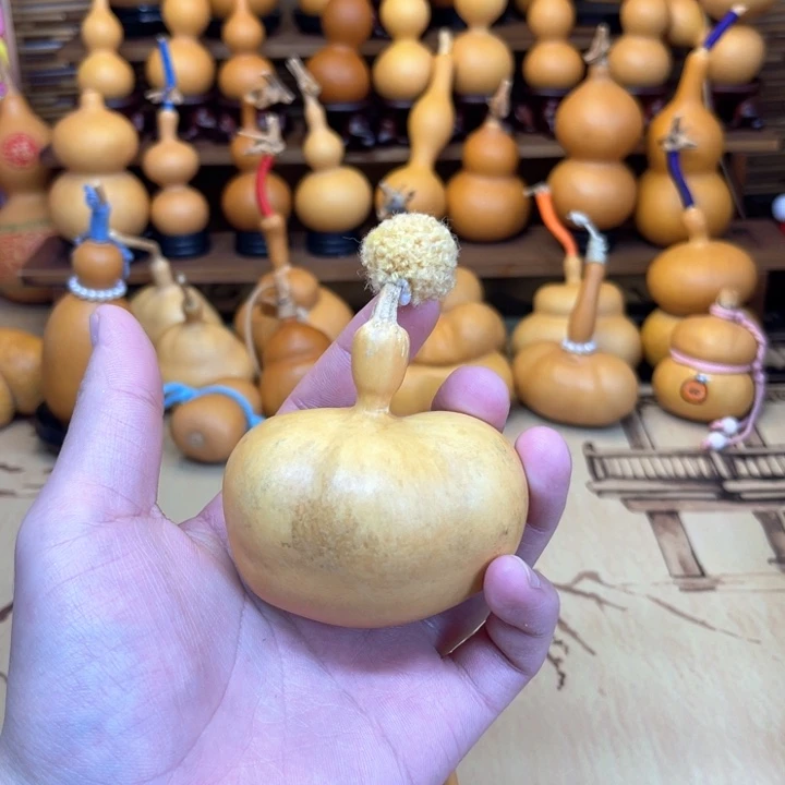 厚皮大钱袋微瑕50