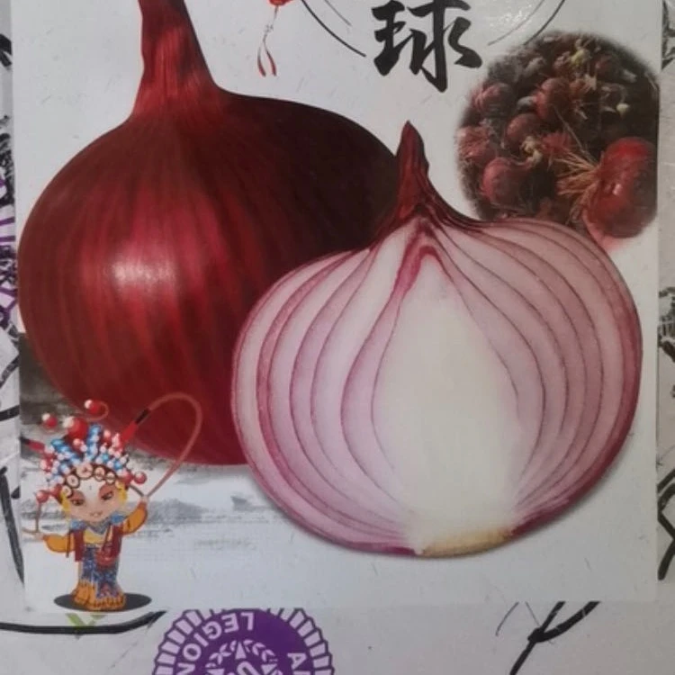 jj紫圆葱今年新种今年新种