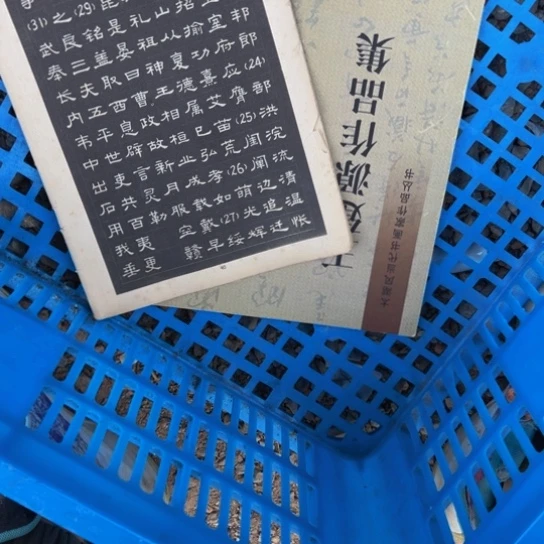 古***彩杂色豆（科檀/科特迪瓦檀木）