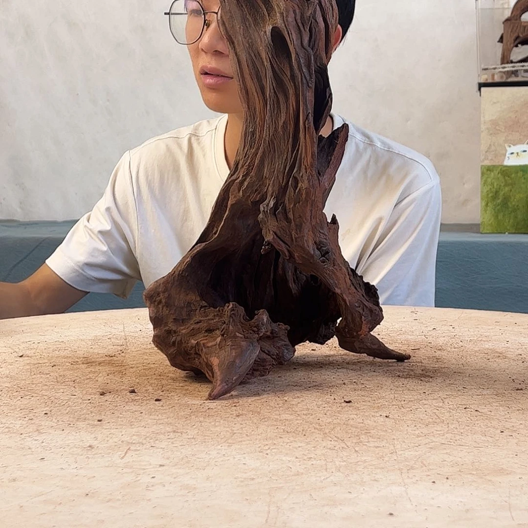 沉木造景寄居蟹造景