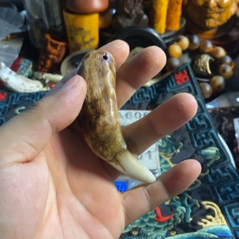 瓷片I寻呼台的人也太少见啦