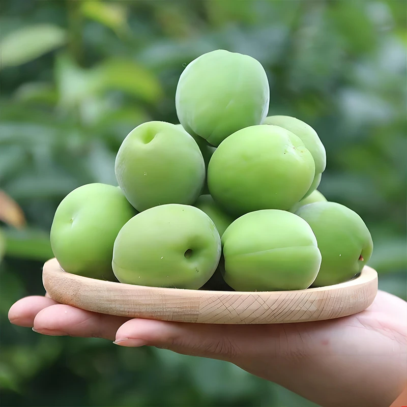 【香】云南大理新鲜青梅 泡酒梅子