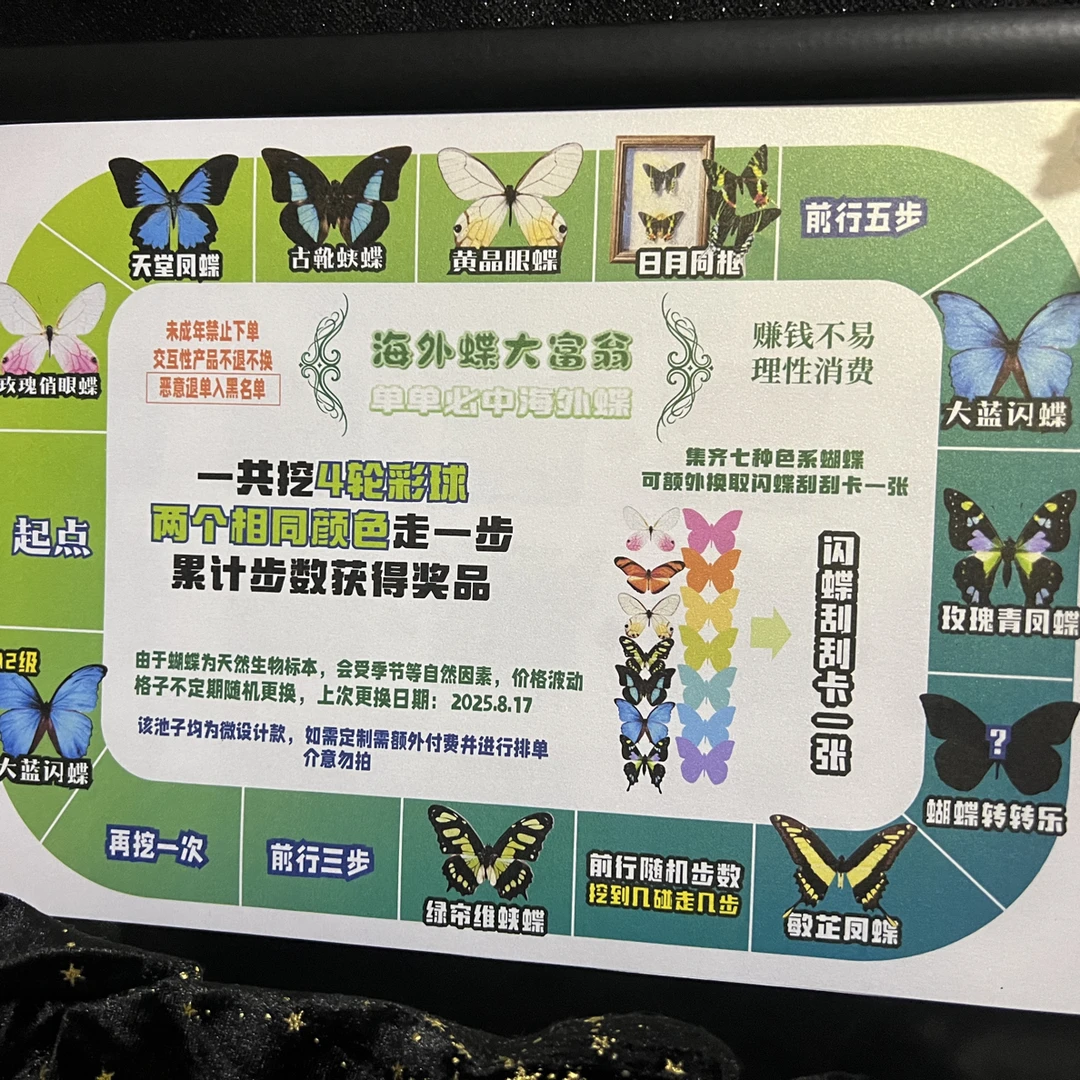 【海外蝶挖挖乐】真蝴蝶标本带相框