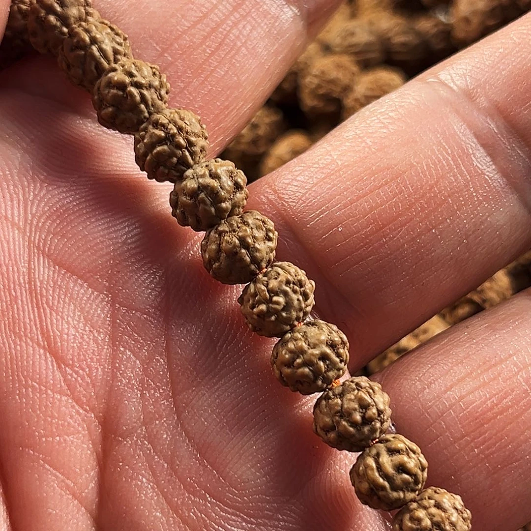 董***生吊坠金刚菩提蛤蟆背