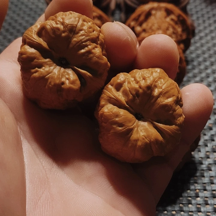 刘***哥文玩核桃把件温婉核桃古蝉