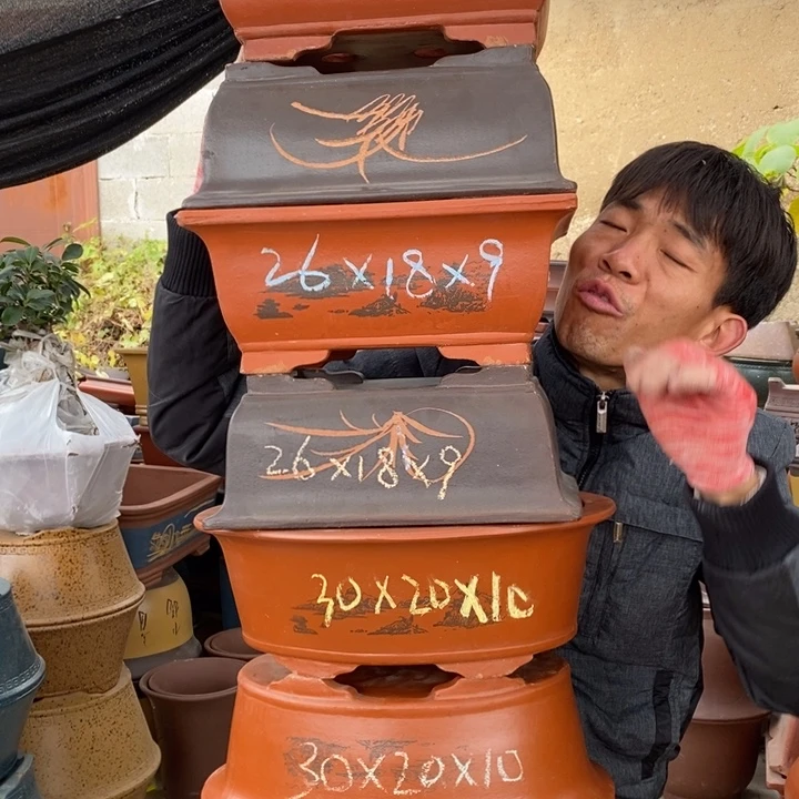 紫砂花盆紫砂艺术特价包邮