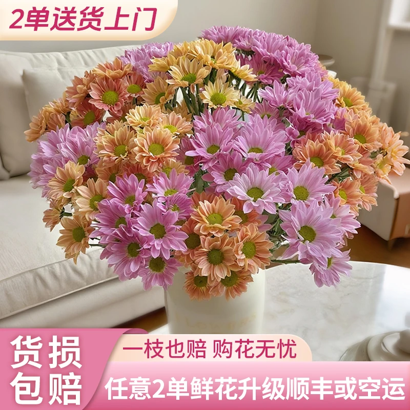 【源头优选】小菊/元旦预热-任意2单鲜花包邮 发货后不支持退款