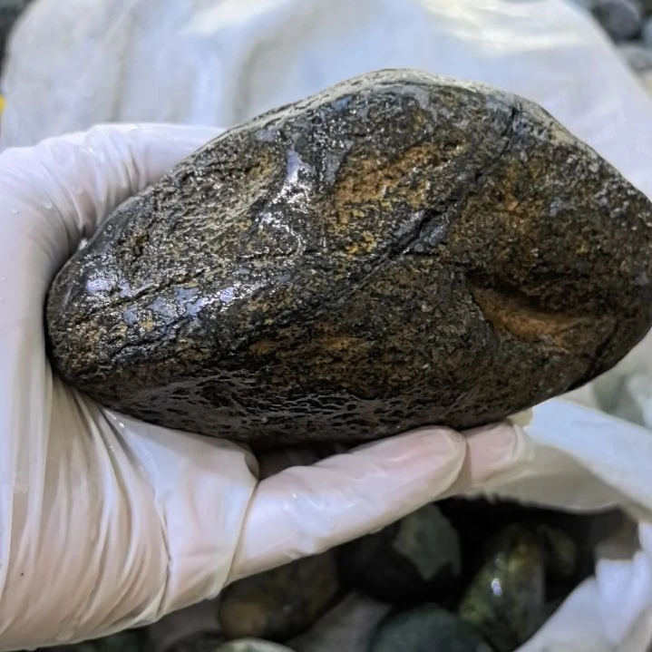 初***️有机玻璃藏玉药王石原石手把件