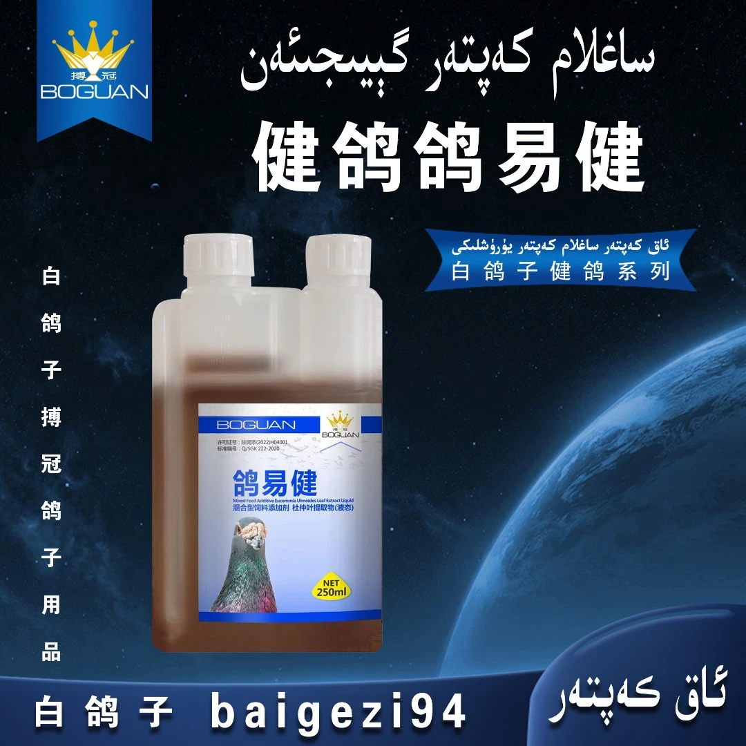 白鸽子搏冠健鸽鸽易健 ak kaptar ge yi jian【新疆包邮】