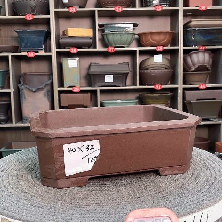 紫砂花盆紫砂的花也太美