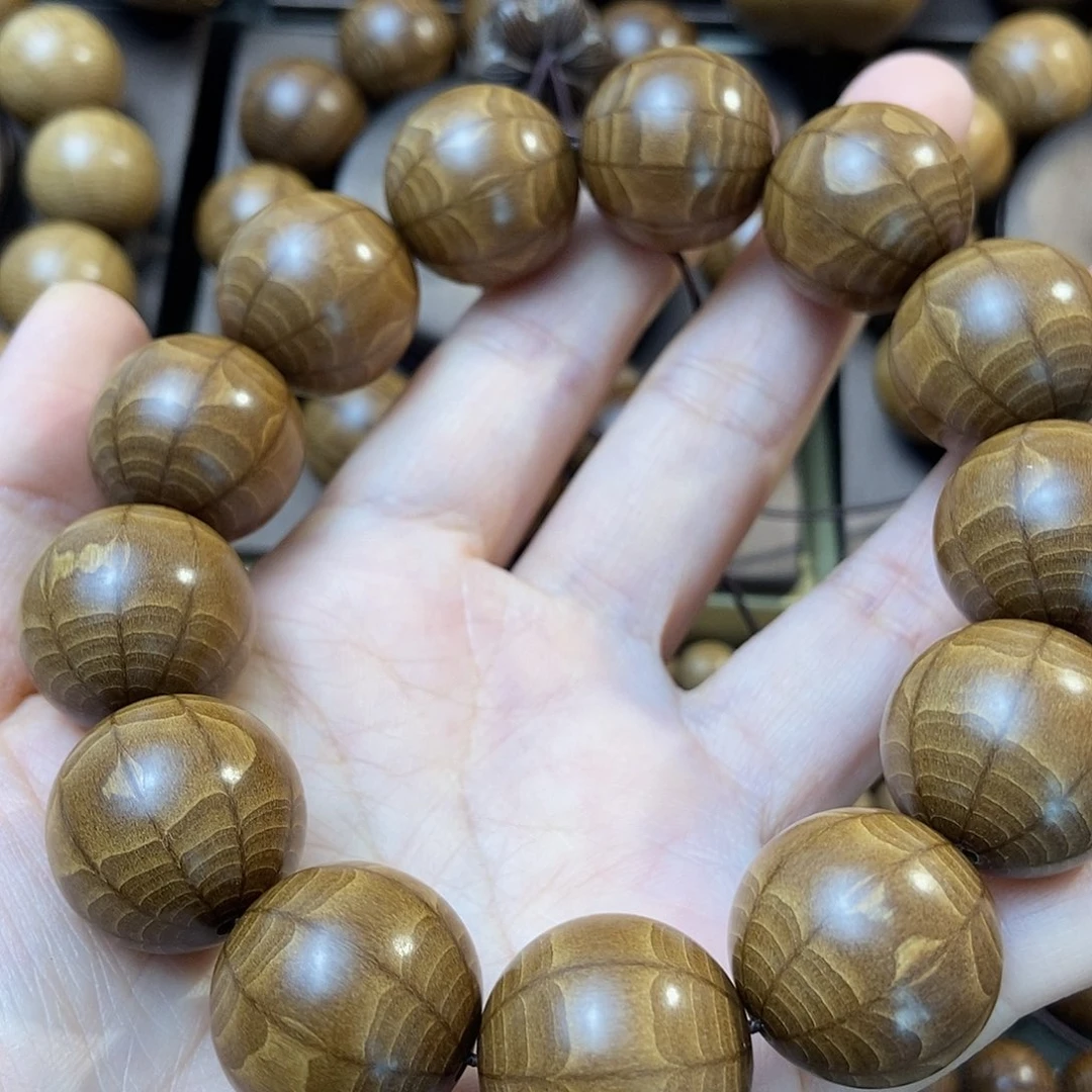 任***威六道木山西五台山