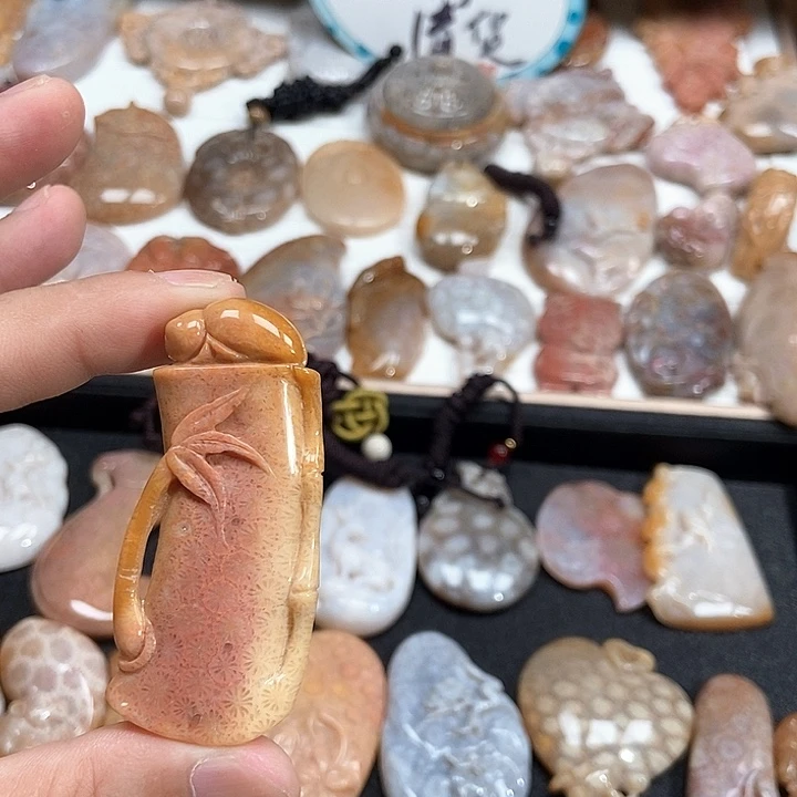 颈饰未镶嵌硅化珊瑚（珊瑚玉）