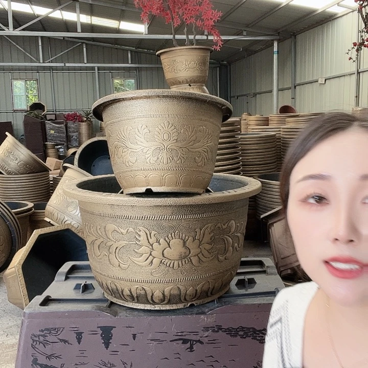 梅花照眼 依然旧风味