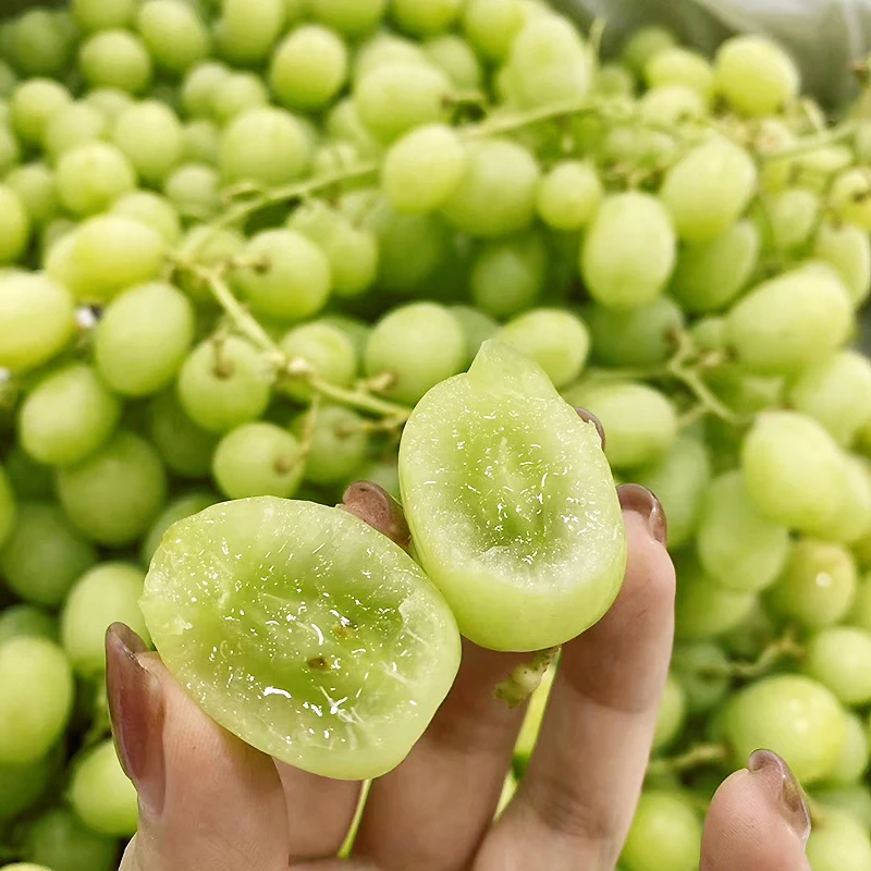 澳大利亚进口甜地球无籽青提 新鲜脆甜