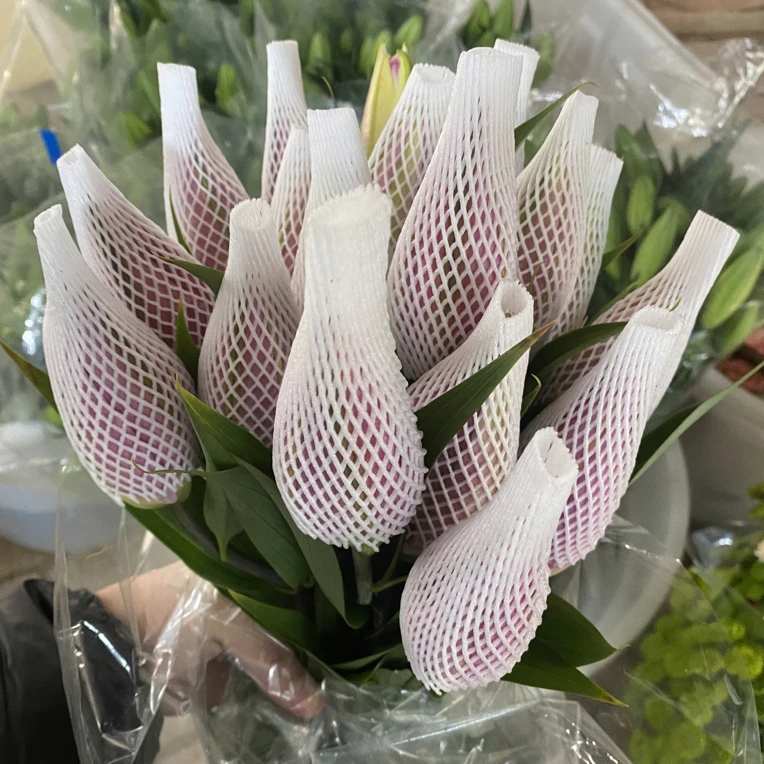 （红色重瓣）香水百合东北基地直发 顺丰包邮水生鲜切花