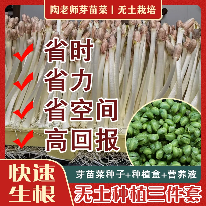 陶老师无土栽培体验包（含工具）