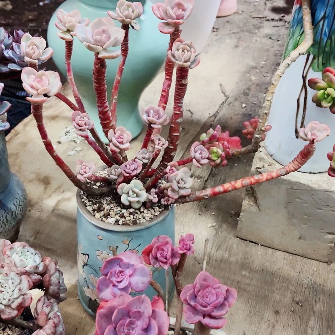 你在哪呢＂你的。你的手机号