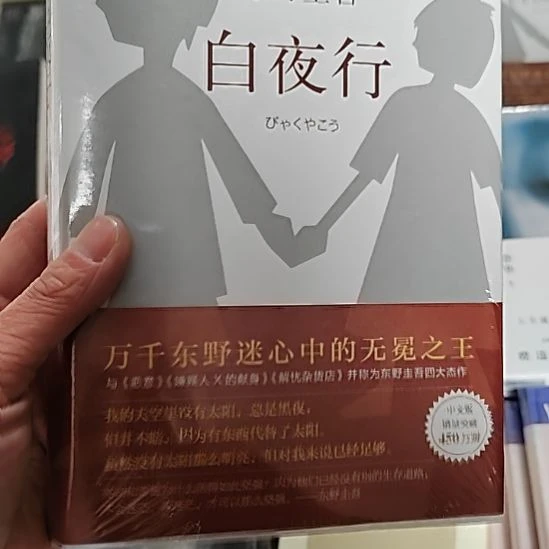 东野圭吾白夜行白夜行