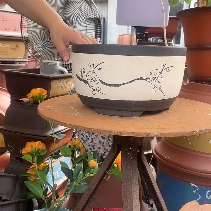 白色绿萝小花盆紫砂花盆