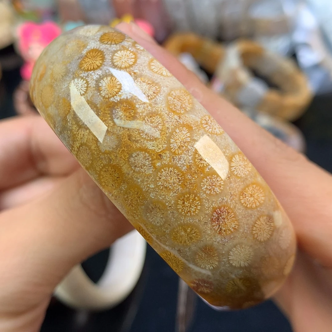 【闪购商品】颈饰未镶嵌硅化珊瑚（珊瑚玉）51号58.9圈双面皮花