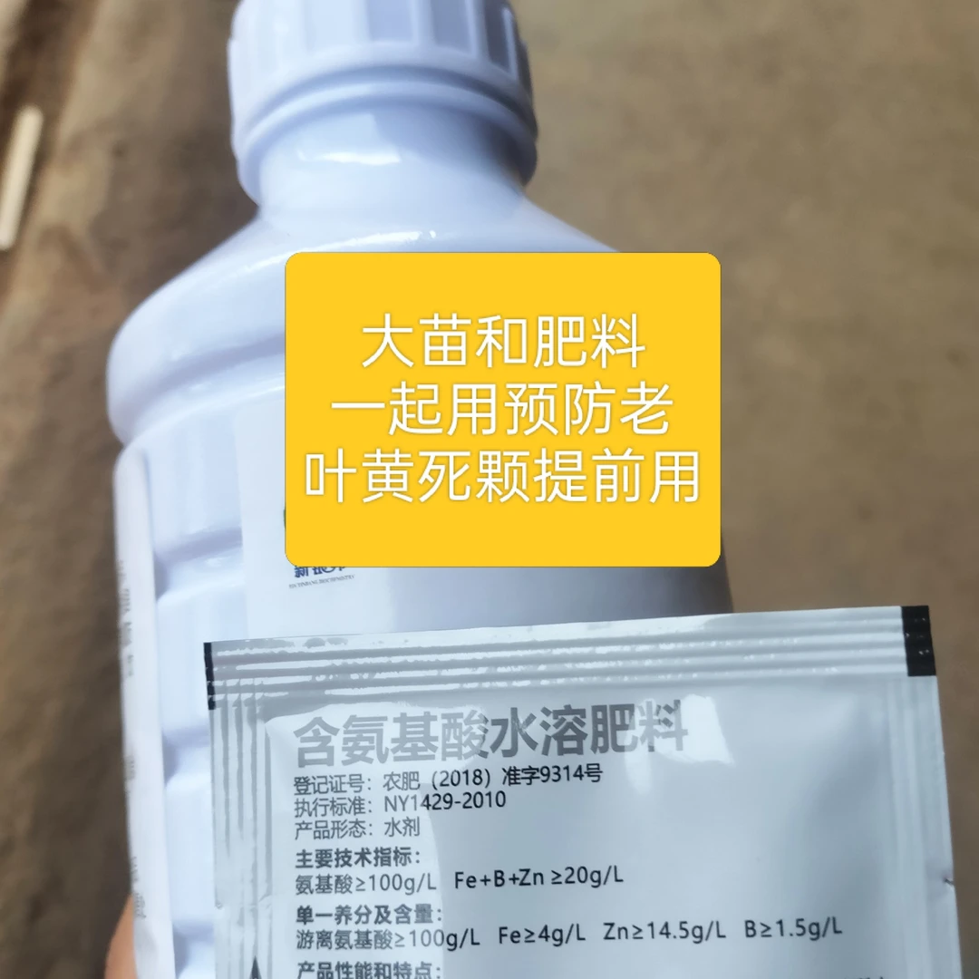 甲霜恶霉死颗黄叶1公斤